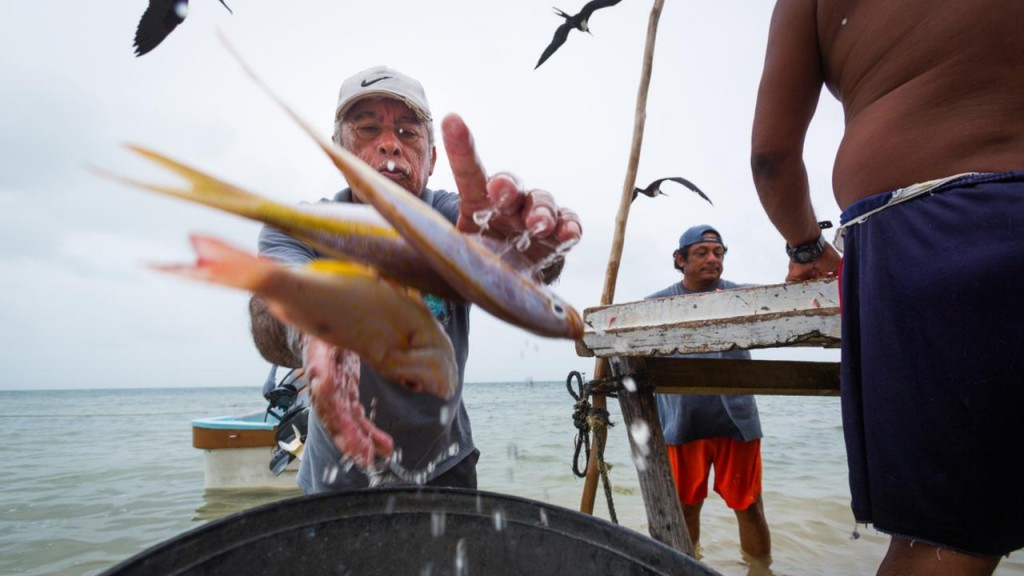 Fishing Culture on the Mesoamerican Reef, Mexico