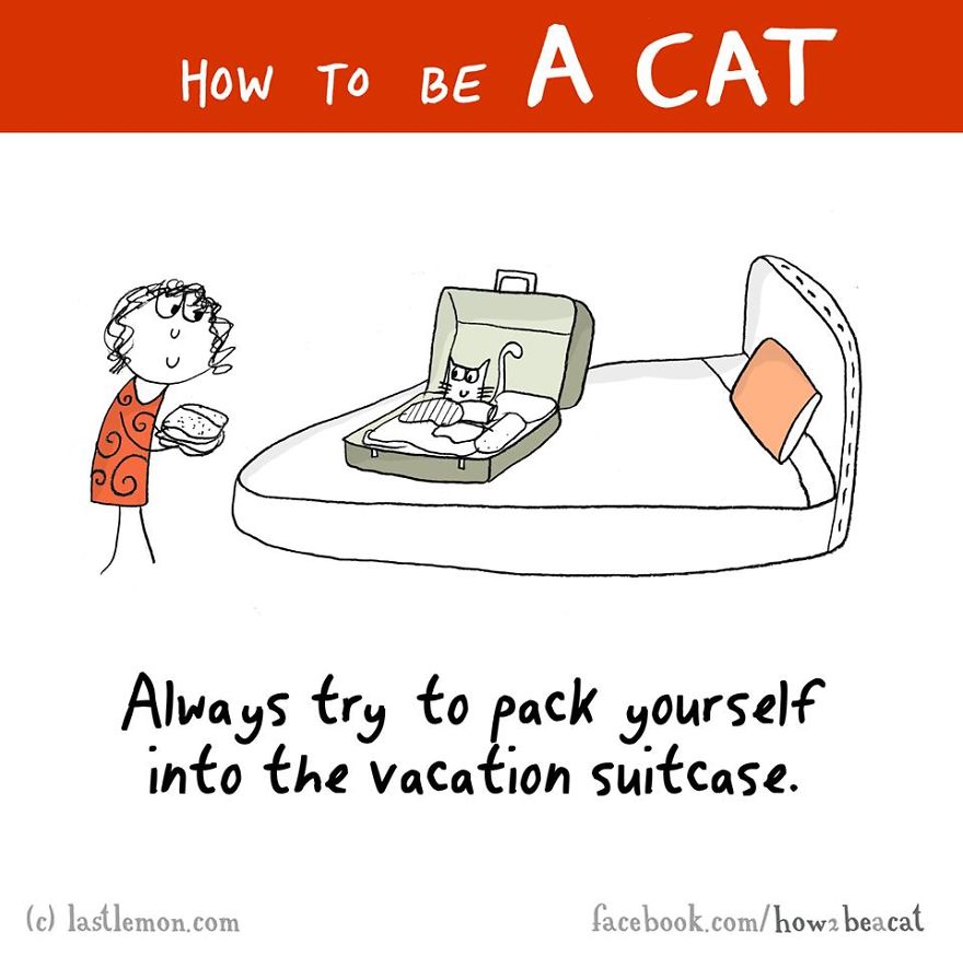 how-to-be-a-cat-funny-illustration-last-lemon-13__880